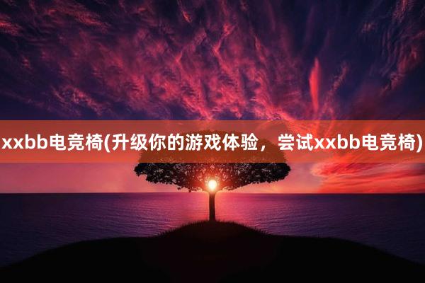 xxbb电竞椅(升级你的游戏体验，尝试xxbb电竞椅)