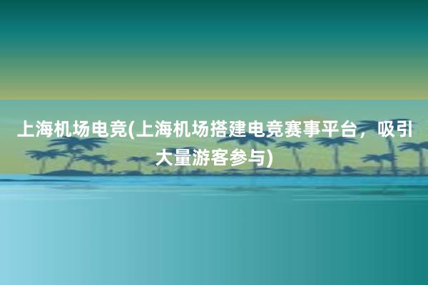 上海机场电竞(上海机场搭建电竞赛事平台，吸引大量游客参与)