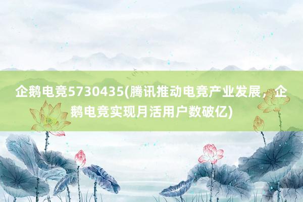 企鹅电竞5730435(腾讯推动电竞产业发展，企鹅电竞实现月活用户数破亿)