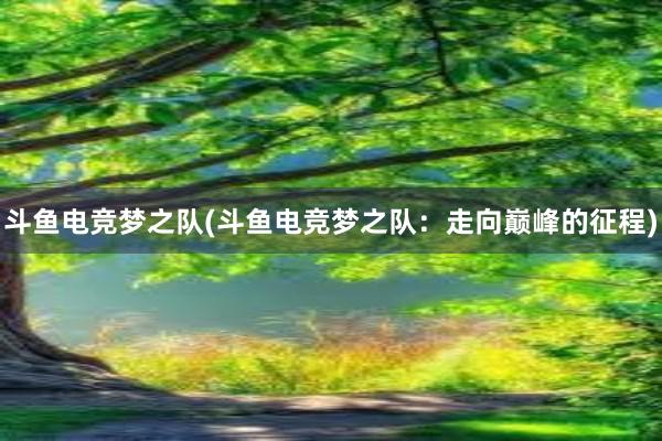 斗鱼电竞梦之队(斗鱼电竞梦之队：走向巅峰的征程)