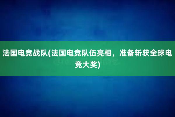 法国电竞战队(法国电竞队伍亮相，准备斩获全球电竞大奖)