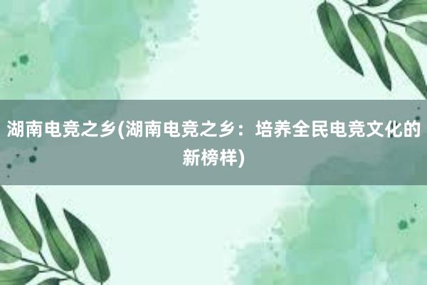 湖南电竞之乡(湖南电竞之乡：培养全民电竞文化的新榜样)