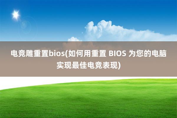 电竞雕重置bios(如何用重置 BIOS 为您的电脑实现最佳电竞表现)