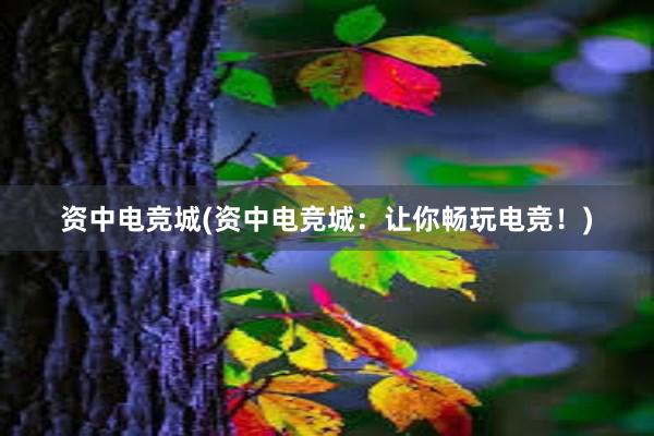 资中电竞城(资中电竞城：让你畅玩电竞！)