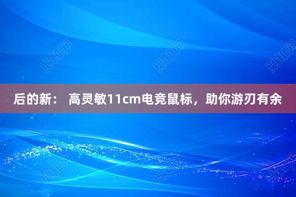 后的新： 高灵敏11cm电竞鼠标，助你游刃有余