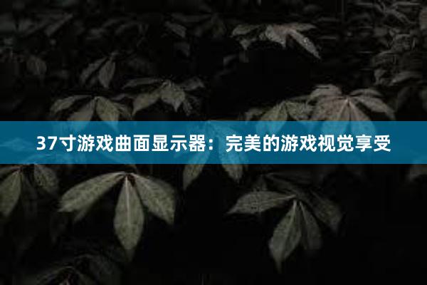 37寸游戏曲面显示器：完美的游戏视觉享受