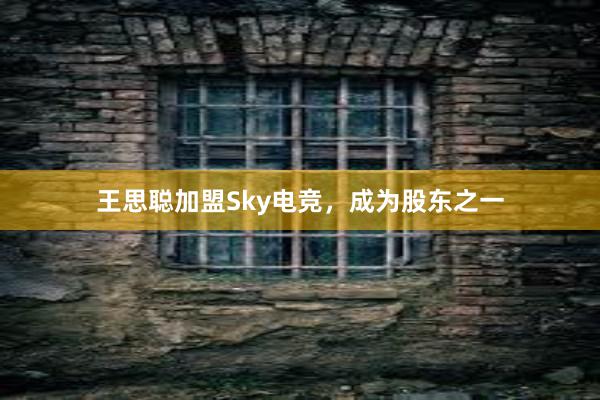 王思聪加盟Sky电竞，成为股东之一