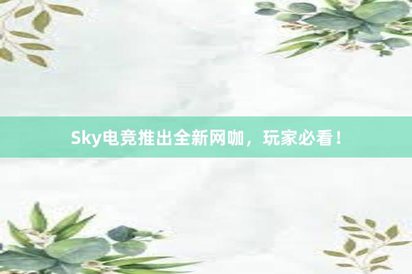 Sky电竞推出全新网咖，玩家必看！