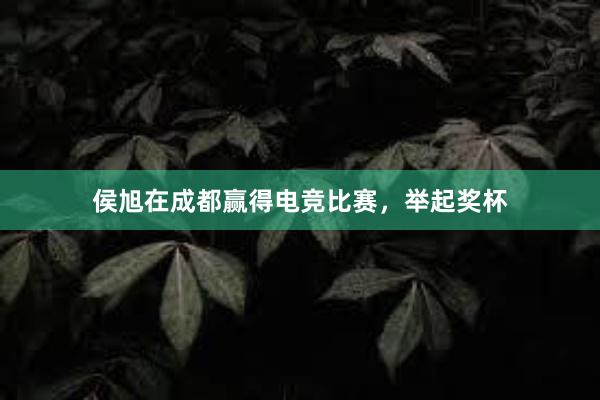 侯旭在成都赢得电竞比赛，举起奖杯