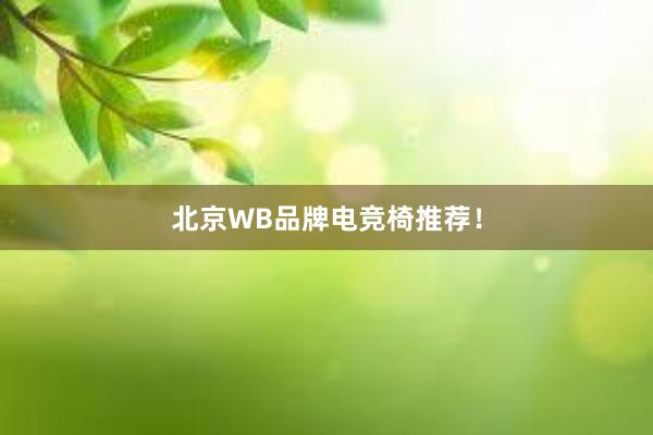 北京WB品牌电竞椅推荐！