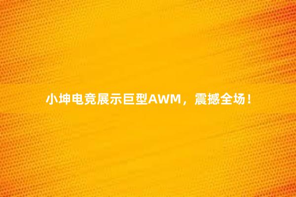 小坤电竞展示巨型AWM，震撼全场！