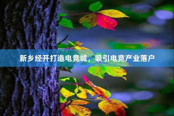 新乡经开打造电竞城，吸引电竞产业落户