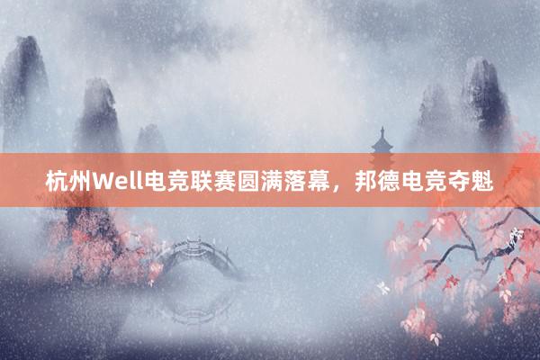 杭州Well电竞联赛圆满落幕，邦德电竞夺魁