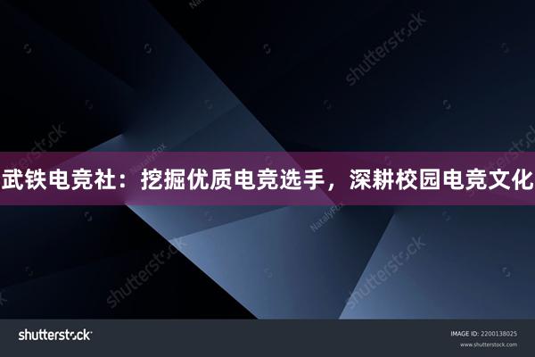 武铁电竞社：挖掘优质电竞选手，深耕校园电竞文化