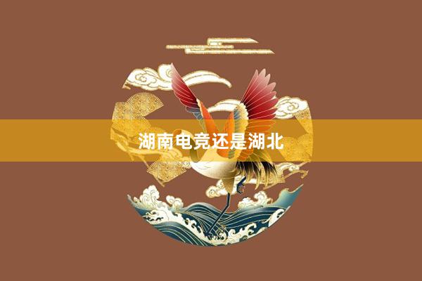 湖南电竞还是湖北