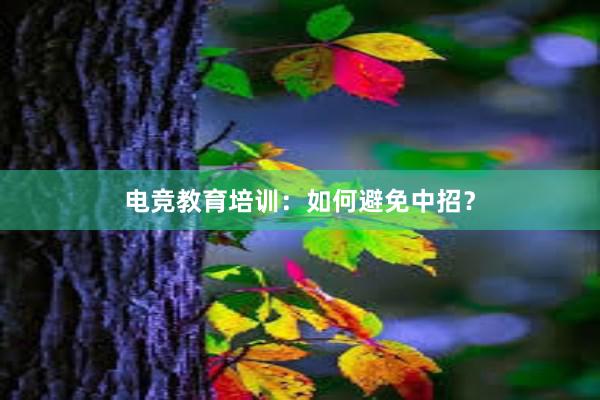 电竞教育培训：如何避免中招？