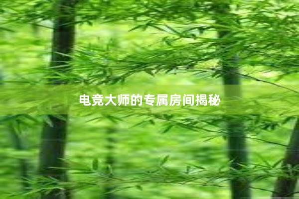 电竞大师的专属房间揭秘