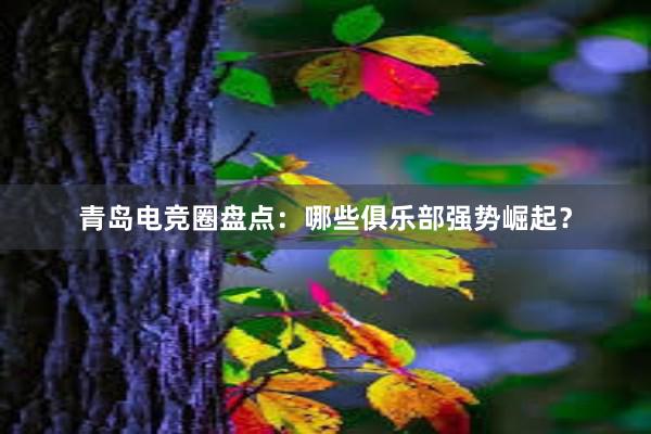 青岛电竞圈盘点：哪些俱乐部强势崛起？